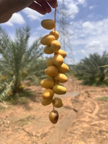 20240620_072911798_iOS